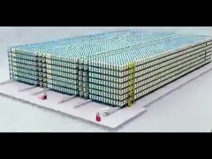 High-Teches Herstellungsasrs-Palettenregal-System für verbesserte Lagerverwaltung